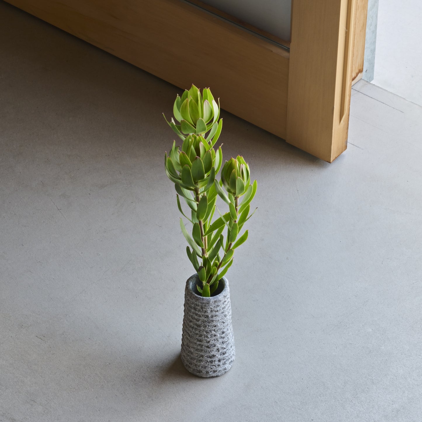 BEACON VASE / S