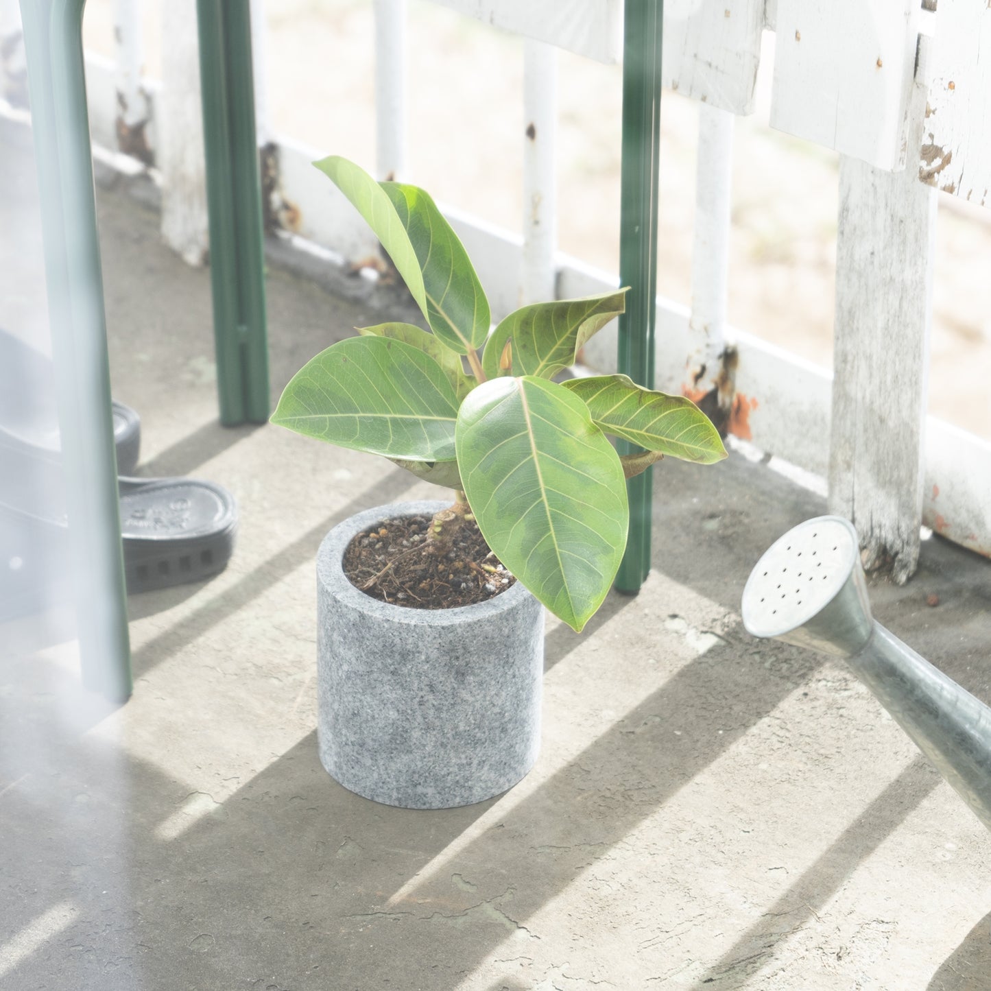 CS - STAND / 110 S / komame