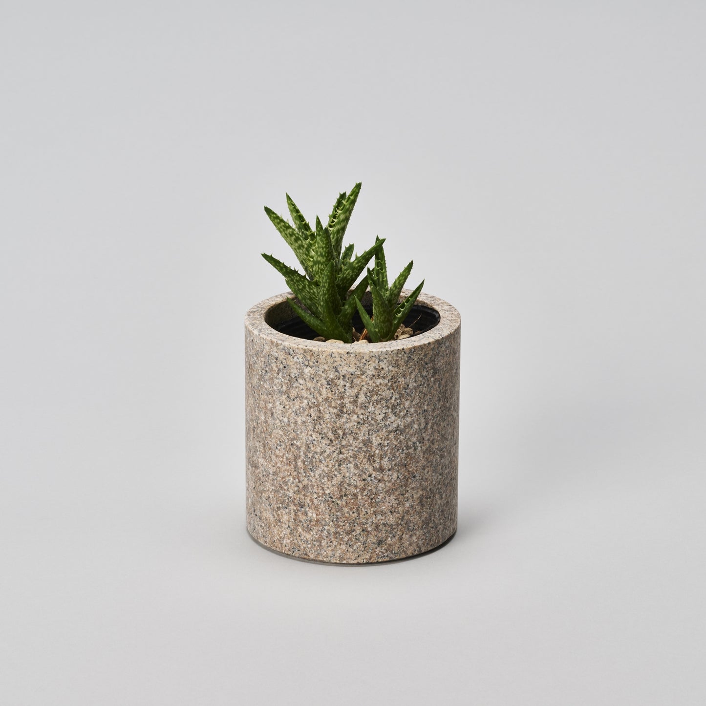 CS - STAND / 110 S / sabi