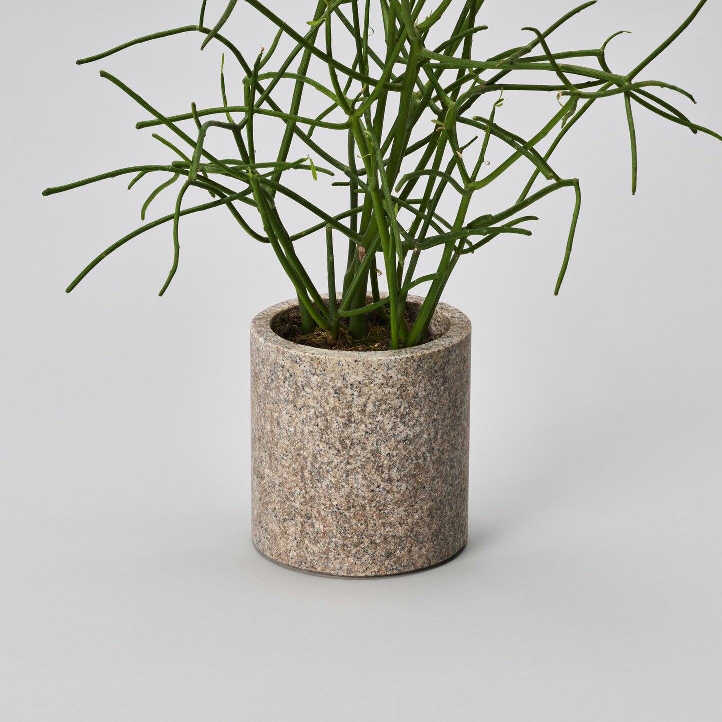 CS - STAND / 110 S / sabi