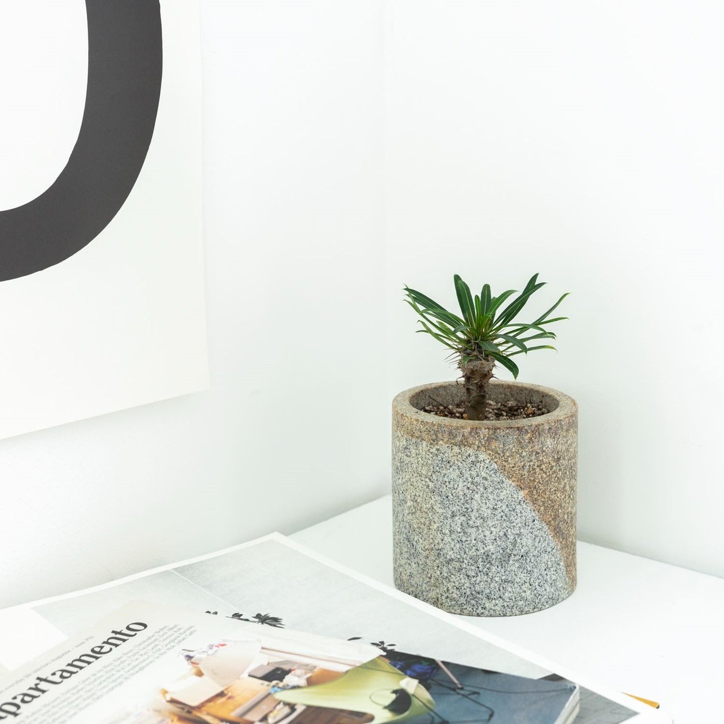 CS - STAND / 110 S / sabi