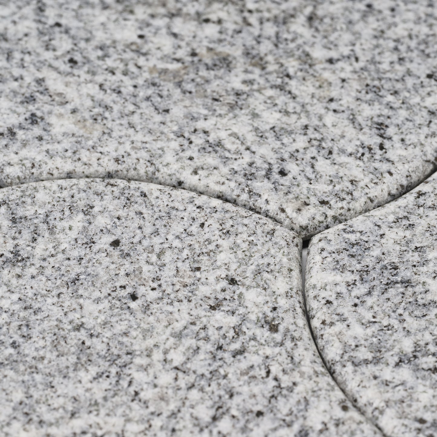 OT - COASTER / mon / nejiri