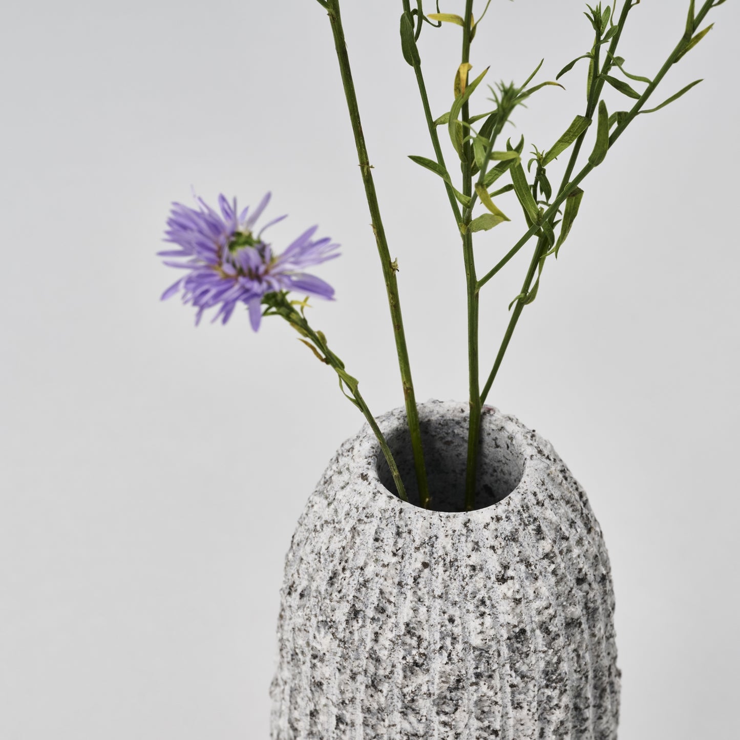 OT - VASE / sabo / C